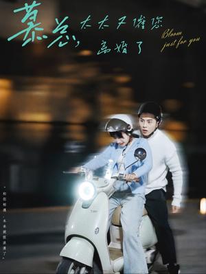 慕总太太又催您离婚了（80集）李可乐＆象韵洁（夸克网盘）封面