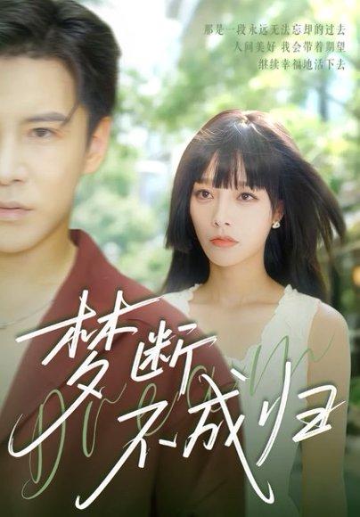 梦断不成归（61集）李子锋＆李胜楠封面图 - 古装短剧