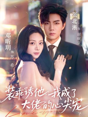 装乖诱他，我成了大佬的心尖宠（79集）张北淅＆邓昕玥（夸克网盘）封面