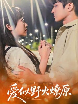 爱似野火燎原（47集）刘博文&景晓媚（夸克网盘）封面图 - 短剧短剧