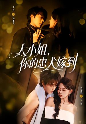 大小姐，你的忠犬嫁到（80集）王轩＆刘蓝鸽（夸克网盘）封面图 - 都市短剧