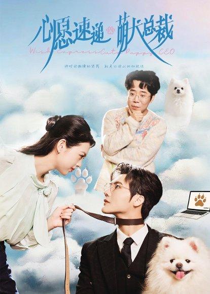 心愿速递之萌犬总裁（50集）蓝曦鹿＆蒋辰瑞（百度网盘）封面图 - 都市短剧