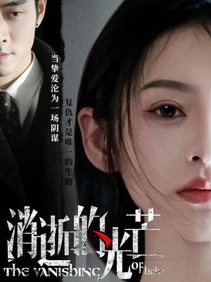 消逝的光芒（55集）曹天恺＆觅七（夸克网盘）封面图 - 剧情短剧