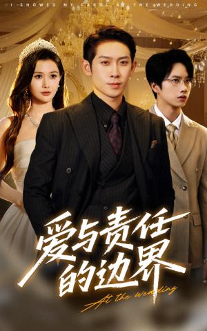 爱与责任的边界（35集）彭羽&王新颖封面图 - 家庭短剧