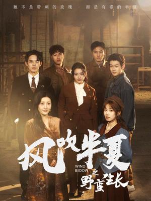 风吹半夏之野蛮生长（59集）宋暖（夸克网盘）封面图 - 励志短剧