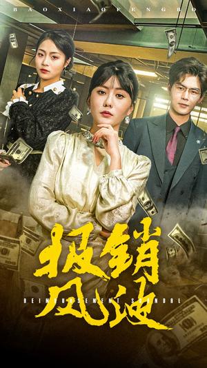 报销风波（54集）（夸克网盘）封面