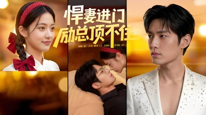 悍妻进门励总顶不住1080P（55集）企鹅独播（百度网盘）封面