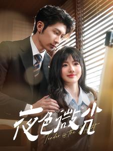 夜色微光（91集）王子林＆田甜一（夸克网盘）封面图 - 都市情感短剧