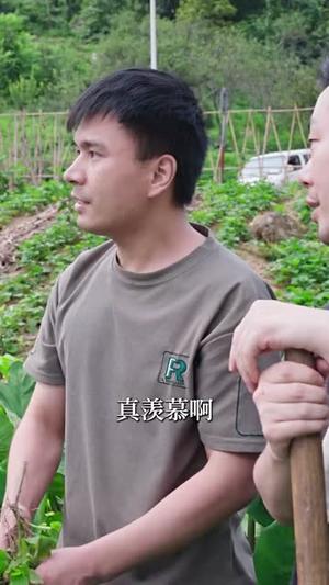 最强县令从攻略女帝开始（75集）穿越剧（夸克网盘）封面图 - 穿越短剧