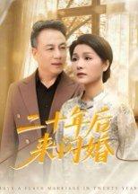 《二十年后来闪婚》短剧封面