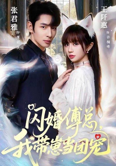 闪婚傅总，我带崽当团宠（85集）张君雅＆王阡惠（百度网盘）封面