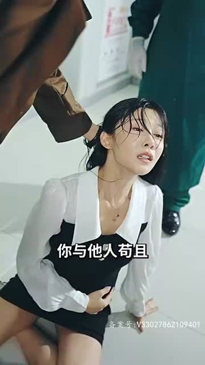 《陆家夫人是女侠(100集)》短剧封面