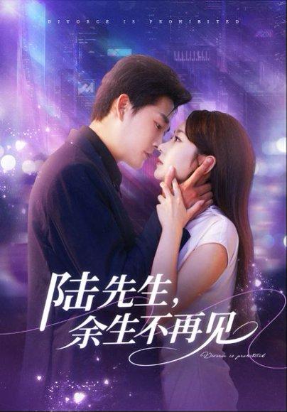 陆先生，余生不再见封面图 - 剧情短剧