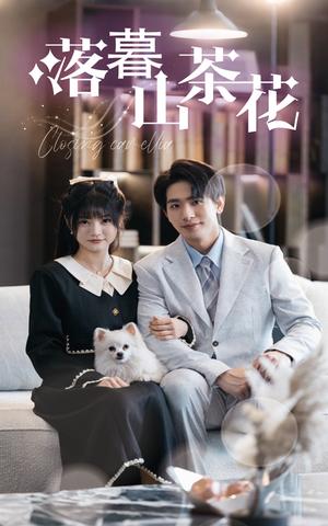 落幕山茶花（50集）王浩翔＆王煜可晴（夸克网盘）封面图 - 民国短剧