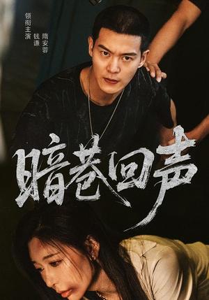 暗巷回声（100集）隋安蓉&钱谦（夸克网盘）封面图 - 悬疑短剧