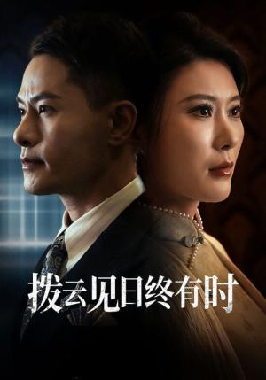 拨云见日终有时（30集）（夸克网盘） - 励志成长短剧封面