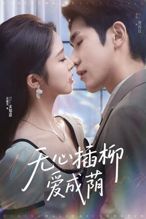 无心插柳爱成荫（80集）李铂一＆吴毅非（夸克网盘）封面图 - 短剧短剧