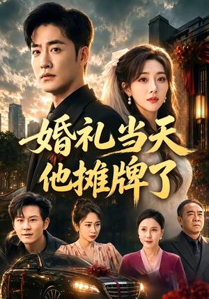 婚礼当天他摊牌了（65集）李季＆张棠（夸克网盘）封面