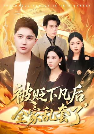 被贬下凡后全家乱套了（88集）建泽正＆岳舒窃（夸克网盘）封面图 - 玄幻短剧