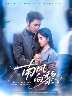 南风向黎（80集）张凝慈&王晨鹏（夸克网盘）封面图 - 都市爱情短剧