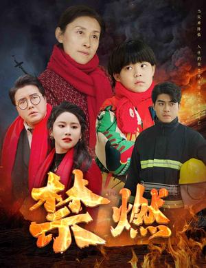 禁燃（30集）（夸克网盘）封面图 - 现实短剧