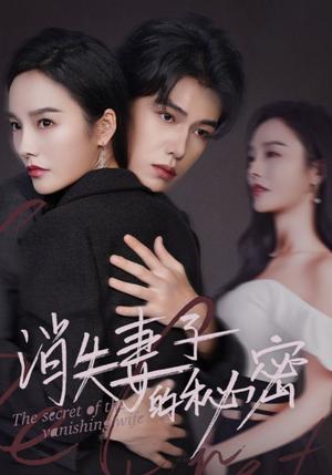 消失妻子的秘密（60集）李胜楠（夸克网盘）封面图 - 悬疑情感短剧