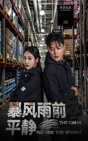 暴风雨前的平静 《暴风雨前的平静》短剧封面