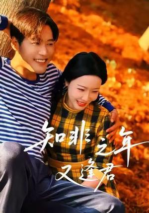 知非之年又逢君（62集）李沁霏封面图 - 都市短剧