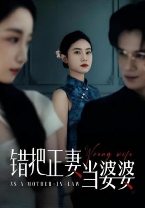 错把正妻当婆婆（46集）张英杰&张耀尹（夸克网盘） - 都市,喜剧短剧封面