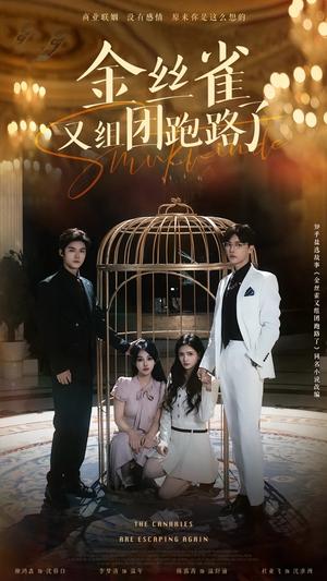 金丝雀又组团跑路了（长篇）谢鸿鑫&杜亚飞（夸克网盘）封面图 - 都市短剧