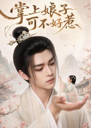 掌上娘子可不好惹 《掌上娘子可不好惹》短剧封面