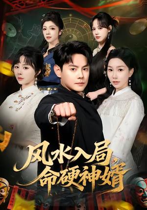 风水入局，命硬神婿（80集）邱浩轩＆张馨悦（夸克网盘）封面图 - 玄幻短剧