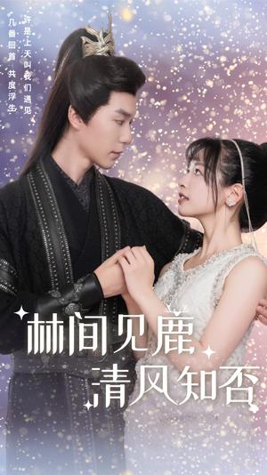 林间见鹿清风知否（62集）（夸克网盘）封面图 - 清新爱情短剧