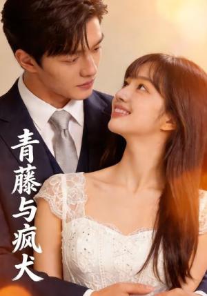 《青藤与疯犬》短剧封面