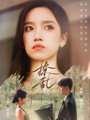 撩乱（65集）陈刚＆白妍（夸克网盘）封面图 - 短剧短剧