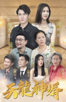 《天龙神婿》短剧封面