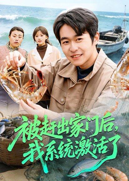 被赶出家门后，我系统激活了（81集）丛恺凡&杜美丽（百度网盘）封面图 - 系统短剧
