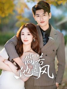 倘若他是风（69集）（夸克网盘）封面