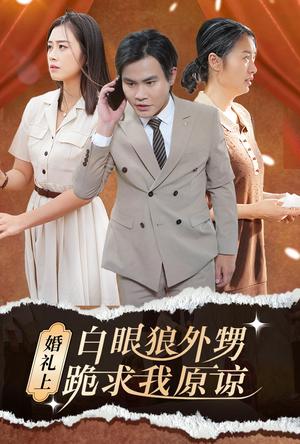 婚礼上白眼狼外甥跪求我原谅（35集）（夸克网盘）封面图 - 短剧短剧