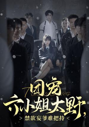 情深留不住（80集）孟娜（夸克网盘）封面图 - 短剧短剧