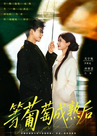 等葡萄成熟后（82集）吴宇航＆孙妍恩（百度网盘）封面图 - 爱情短剧