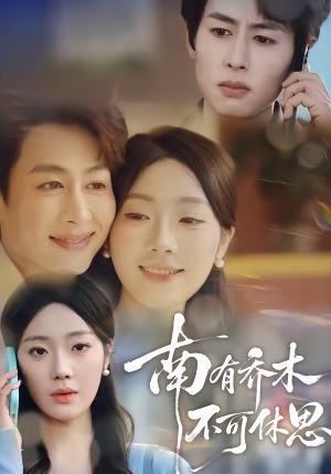 南有乔木，不可休思（68集）邢航铭＆孔祥东（夸克网盘）封面图 - 短剧短剧