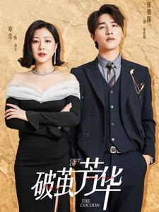 破茧芳华（80集）（夸克网盘） - 女性励志短剧封面