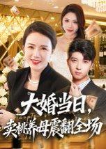 大婚当日，卖桃养母震翻全场（70集）唐依迪&卢静（百度网盘）封面图 - 乡村爱情短剧