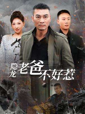 隐龙老爸不好惹（82集）（夸克网盘）封面