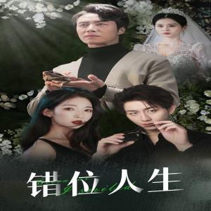 错位人生&养大他人的儿子后我笑了（33集）（夸克网盘）封面图 - 短剧短剧