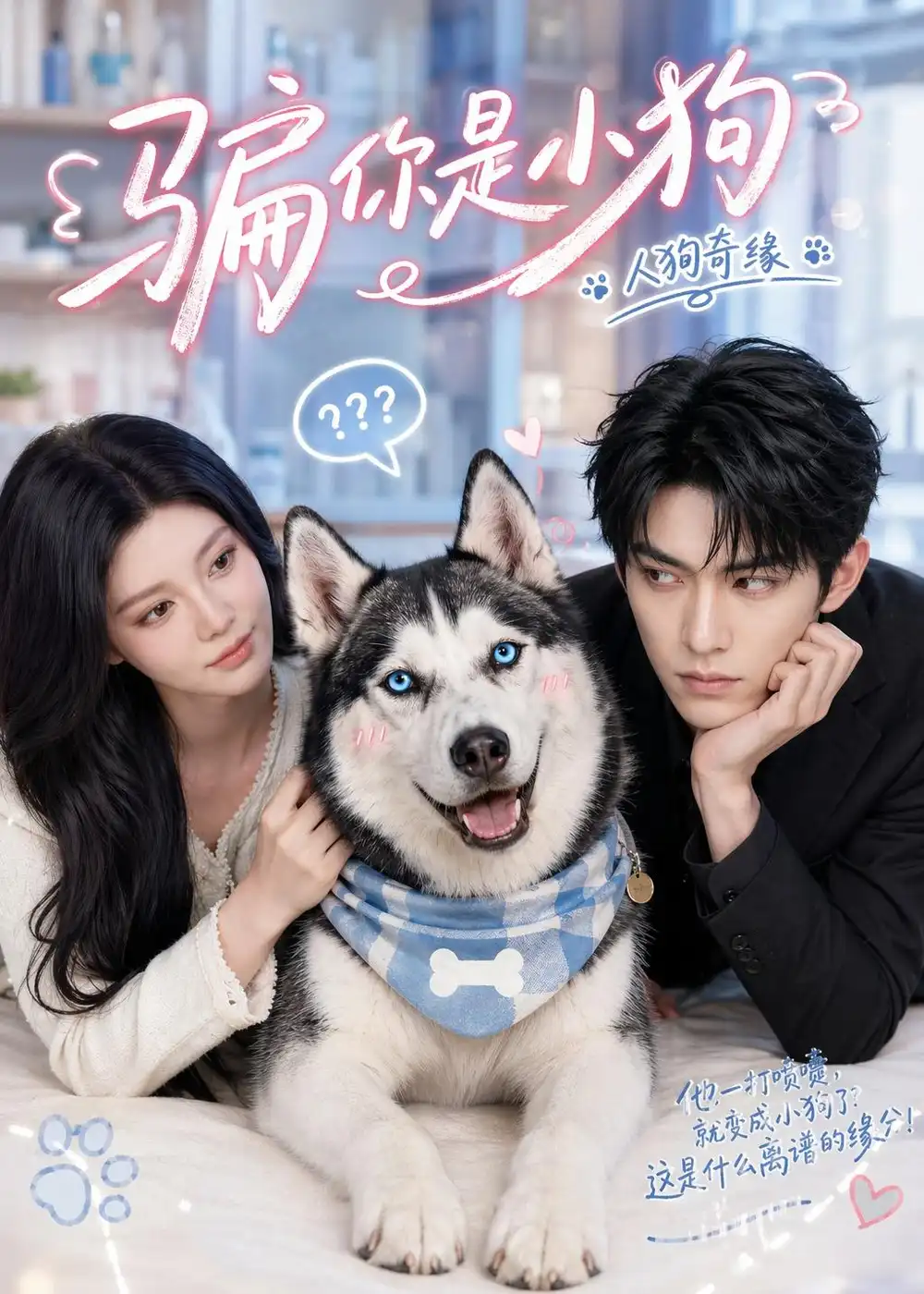 《骗你是小狗（20集）（夸克网盘）》短剧封面