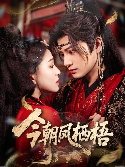 今朝凤栖梧（68集）柳甯＆韩录锦封面图 - 宫斗短剧