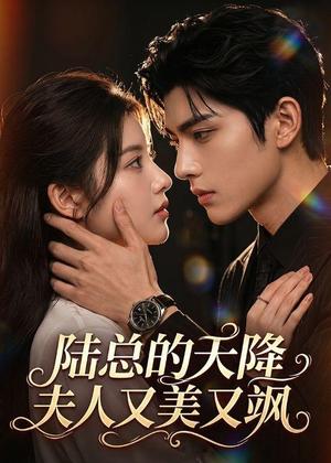 陆总的天降夫人又美又飒(80集)(夸克网盘) 陆总的天降夫人又美又飒(80集)(夸克网盘)封面