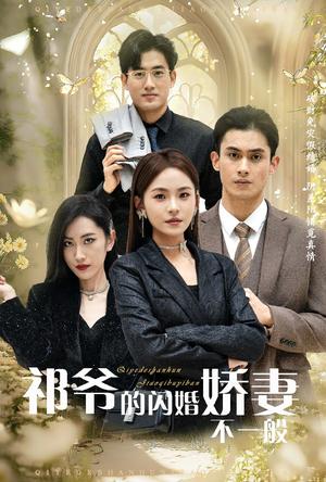 祁爷的闪婚娇妻不一般（60集）（夸克网盘）封面